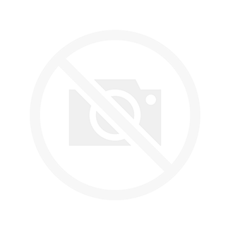 CE QUE LES DIEUX NOUS ONT LAISSÉ